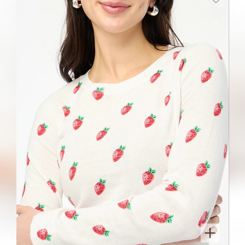 Last One 🔥NWT J. CREW 🍓 Strawberry Cotton Long-Sleeve Teddy Sweatshirt
